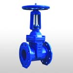 BS Rising Stem Resilient Seated Gate Valve